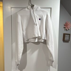 cropped champion hoodie